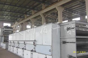 DWT系列脫水蔬菜干燥機 DWT系列脫水蔬菜干燥機